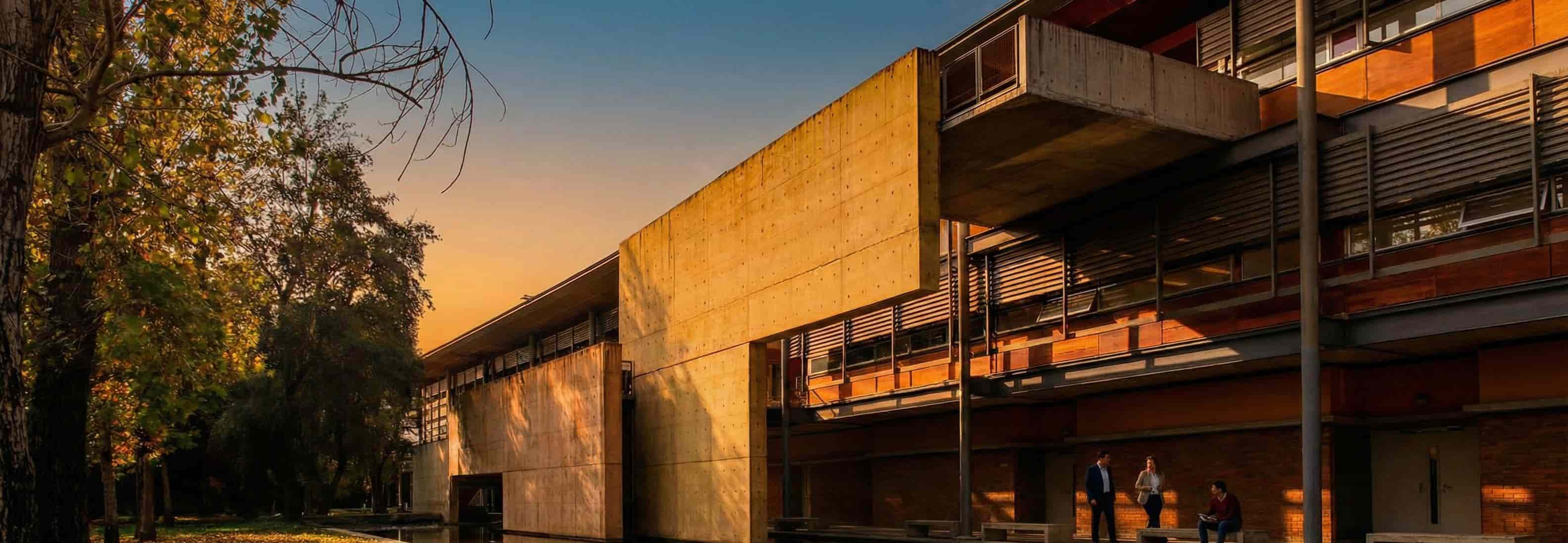 Representación artística de tejido social fortalecido y redes de colaboración sostenibles